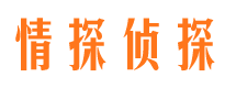 潼关市侦探公司